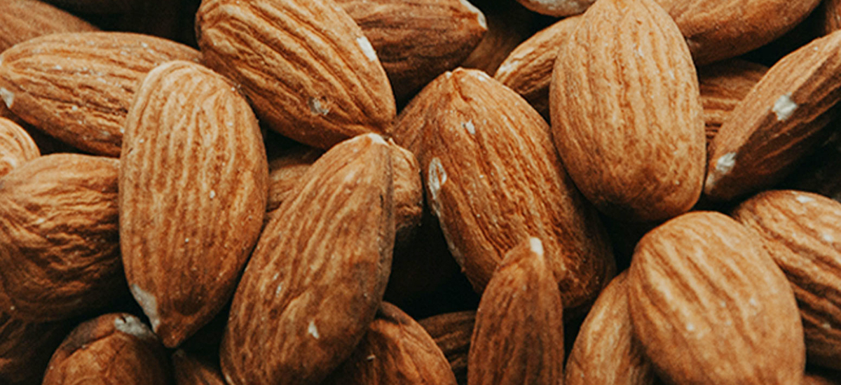 Are Nuts Good for Your Eyes?